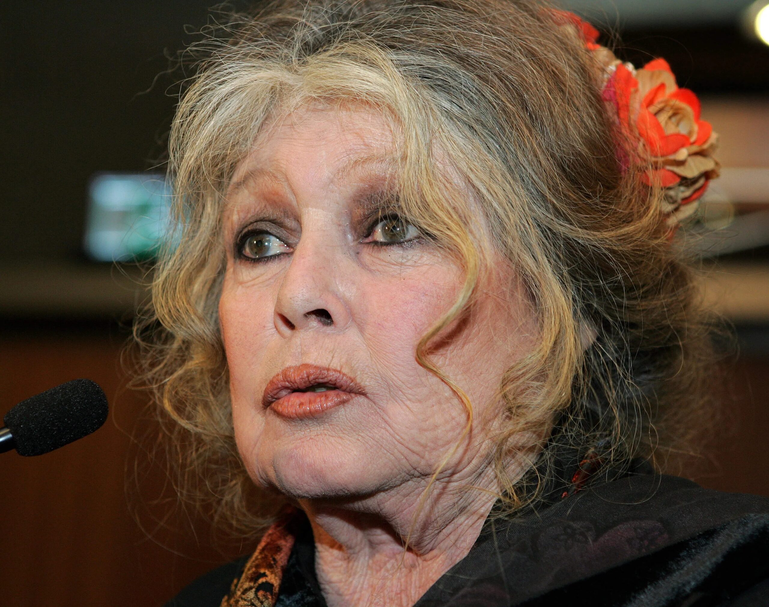 Brigitte Bardot, 91 ans, dément les rumeurs de sa mort !