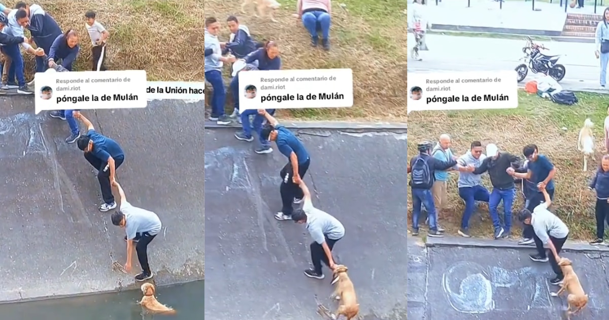 Des citoyens unis pour sauver un chien en péril dans les eaux de Bogotá !