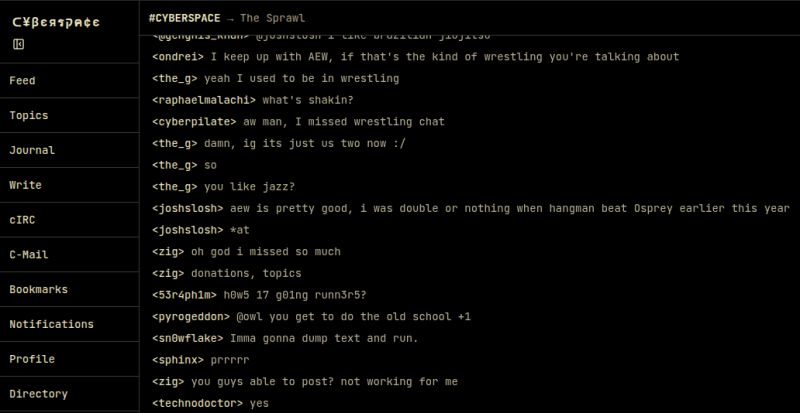 cyber espace