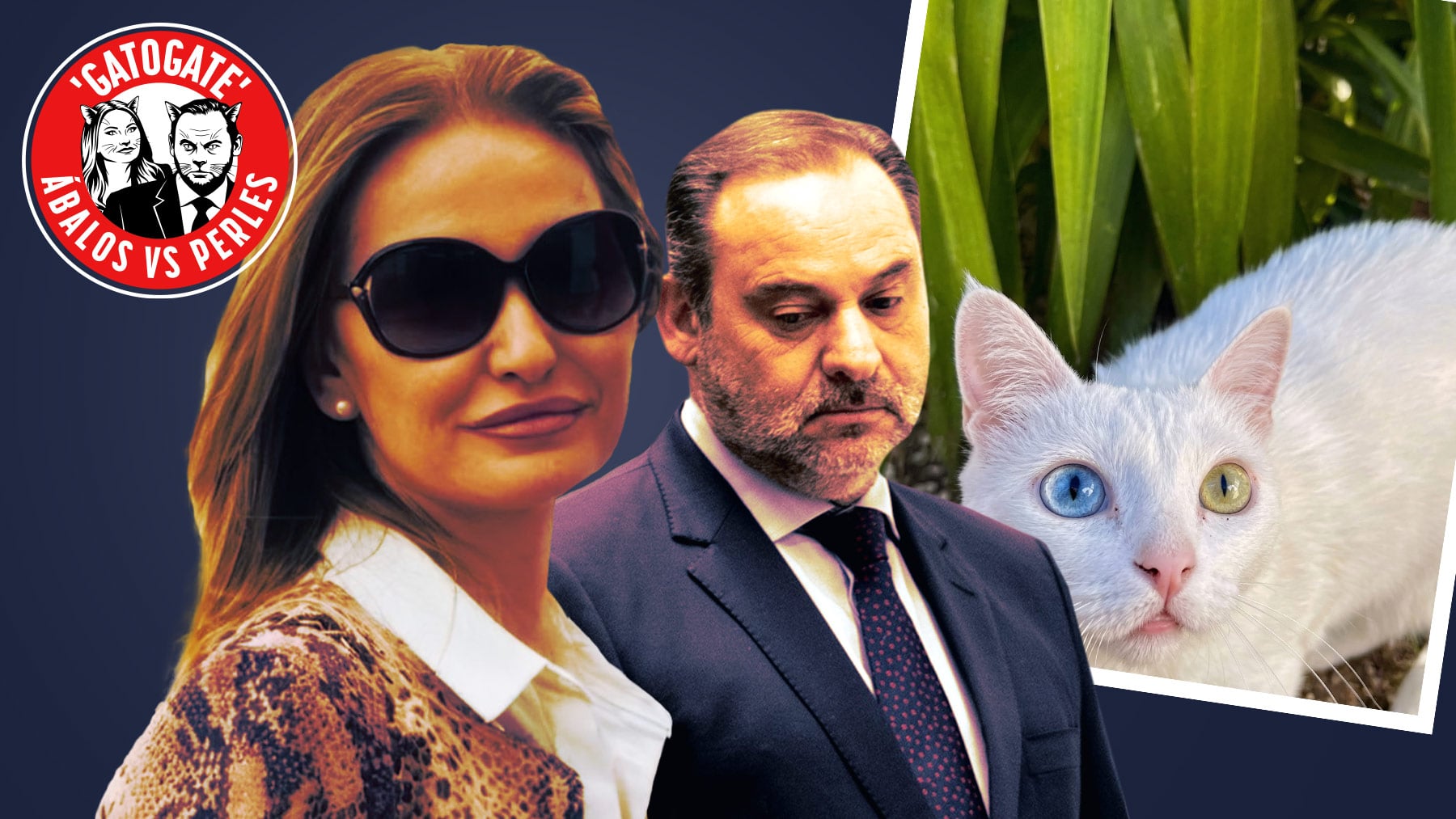 Ex-femme d’Ábalos : une usurpation d’identité pour la petite chatte Chloe !