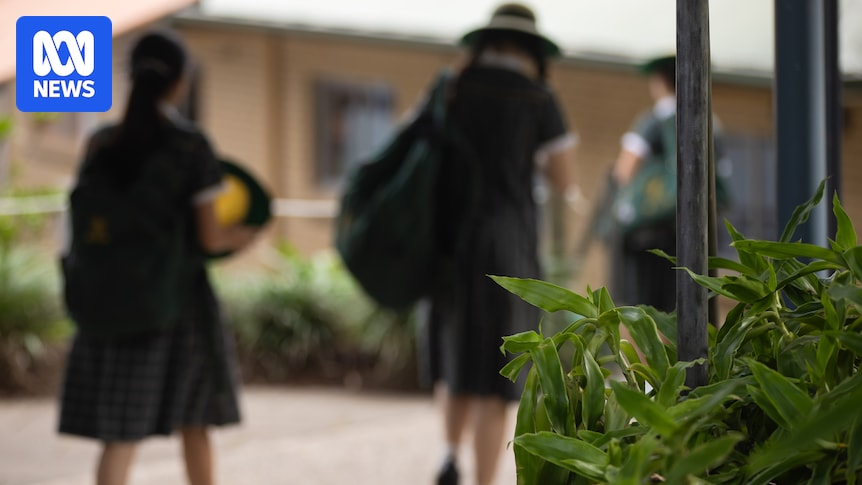 L’initiative des écoles pour limiter les photos “reconnaissables” des élèves sur les réseaux sociaux saluée par un criminologue