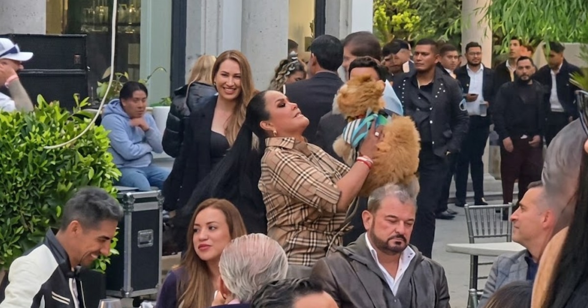 Avocate des Étoiles : indignation face à un supposé acte de maltraitance animale en direct !