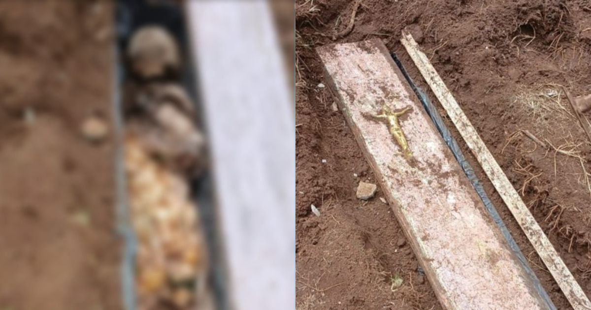 L’ADN révèle l’identité d’une dépouille retrouvée dans un jardin en SC