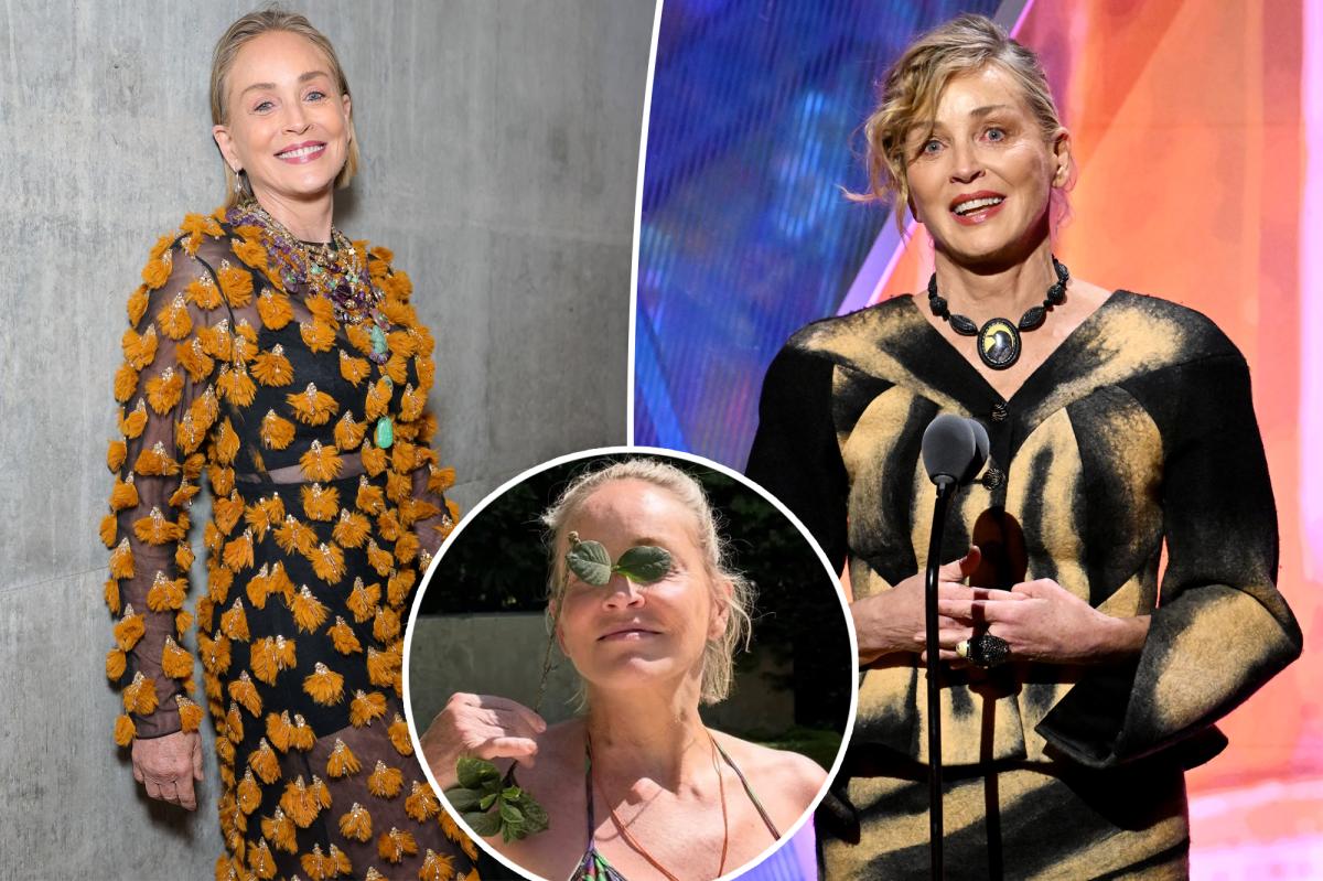 Sharon Stone éblouit à 68 ans avec un bikini parfait sans filtre